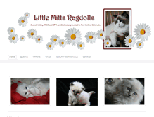 Tablet Screenshot of littlemittsragdolls.com